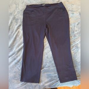 Lands End Comfortable Stretch Pants 2x